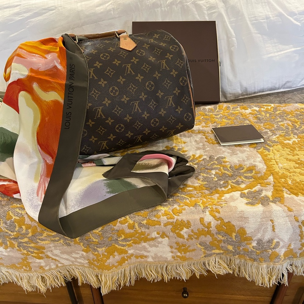 Louis Vuitton Brown Monogram Travel Bag speedy